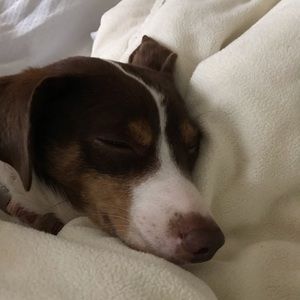 Meet your Posher, Trang